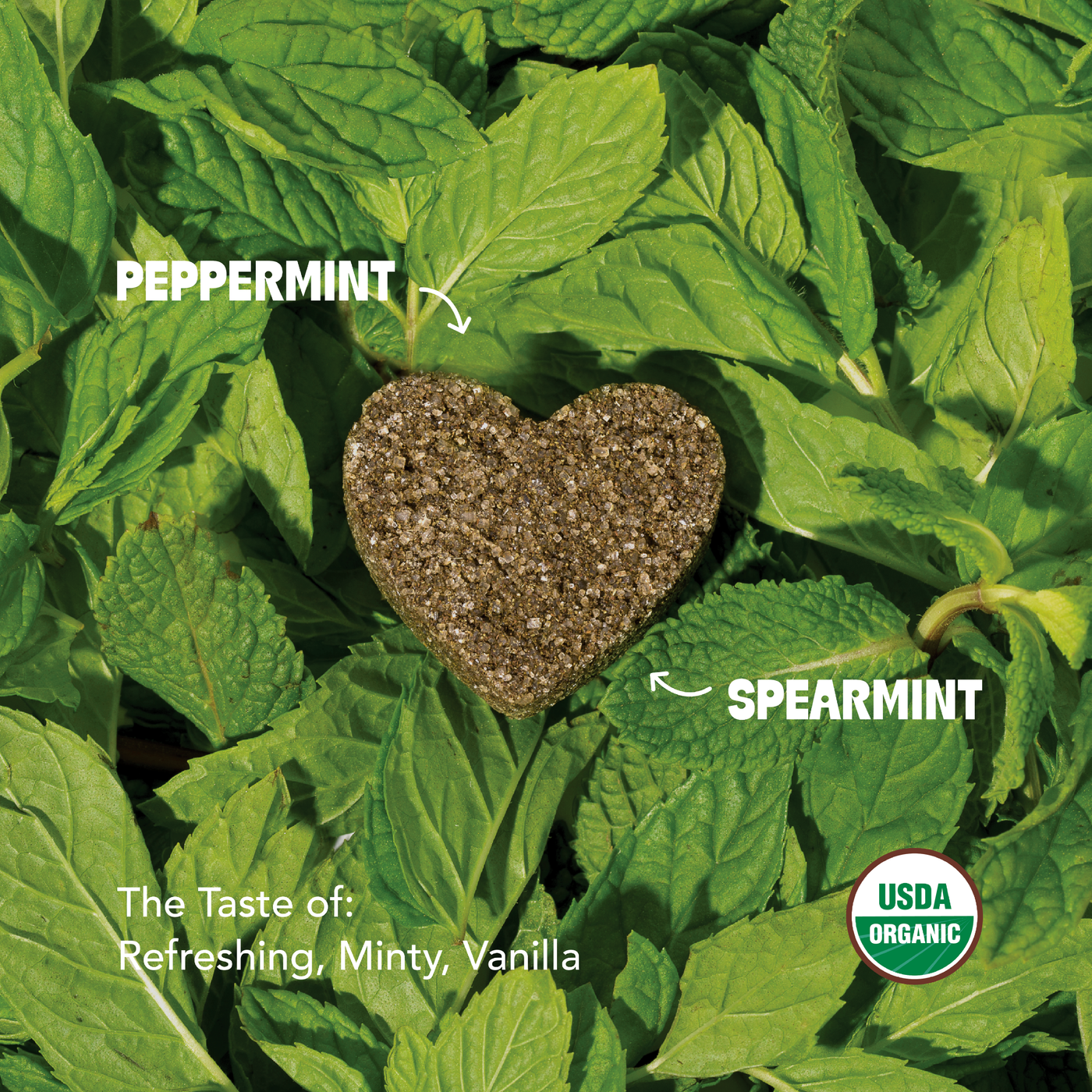 Peppermint Tea